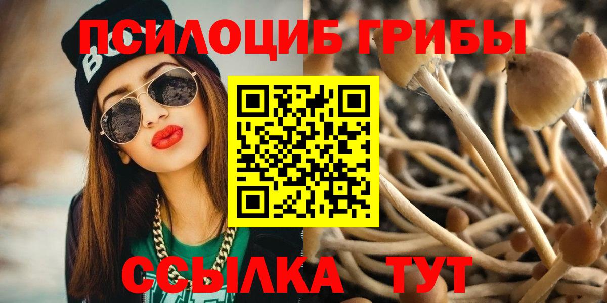 Домодедово  что такое   Галлюциногенные грибы мухоморы  Вход с VPN  Псилоцибиновые грибы Psilocybine cubensis 